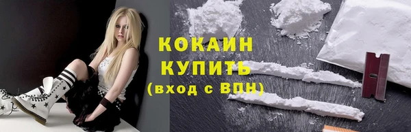 твердый Аркадак