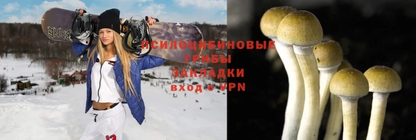 твердый Аркадак