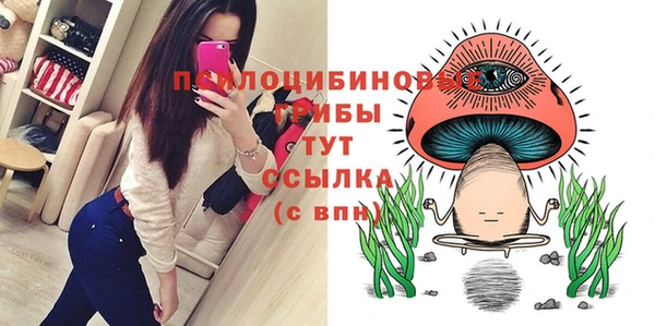 твердый Аркадак