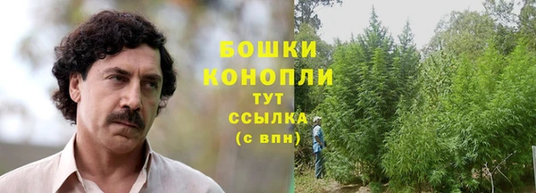 твердый Аркадак