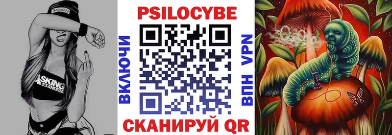 наркошоп  Злынка  Псилоцибиновые грибы Psilocybine cubensis 